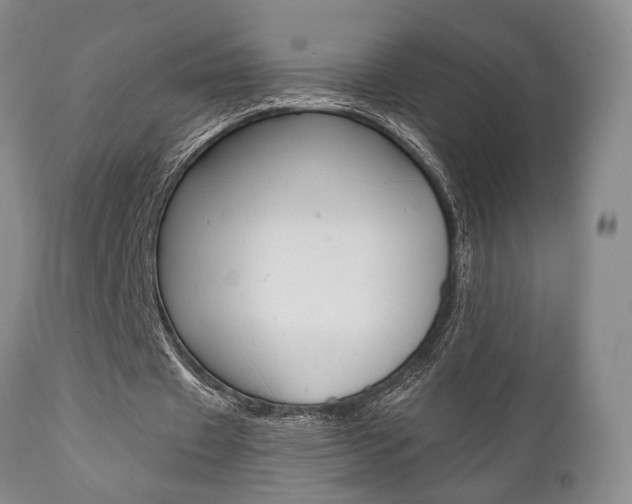 X0000111010433200906191211