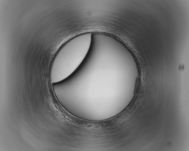 X0000111010434200906191211