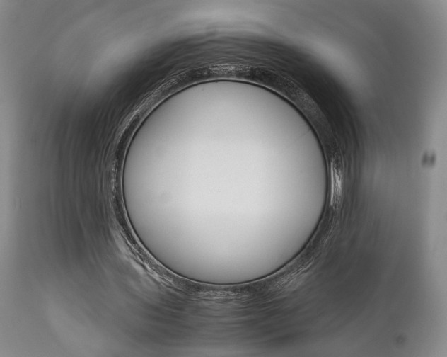 X0000111010435200906191211