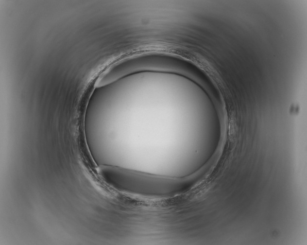 X0000111010436200906191211