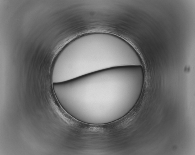 X0000111010437200906191211