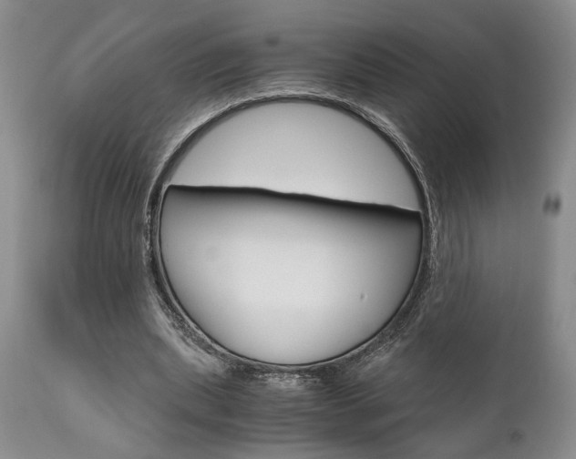 X0000111010439200906191211