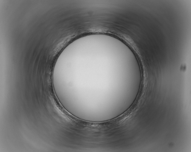 X0000111010441200906191211