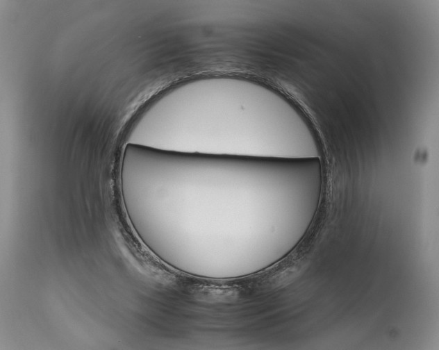 X0000111010443200906191211