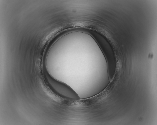 X0000111010444200906191211