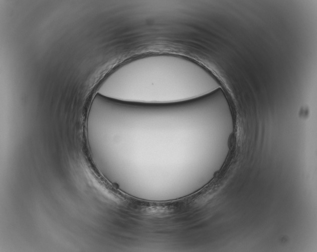 X0000111010445200906191211