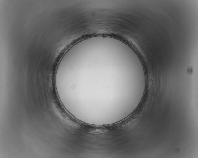 X0000111010447200906191211