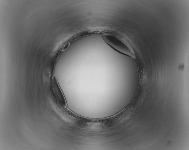 X0000111010448200906191211