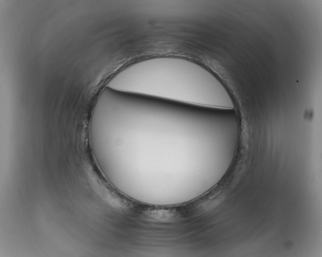 X0000111010449200906191211