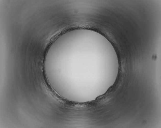 X0000111010450200906191211