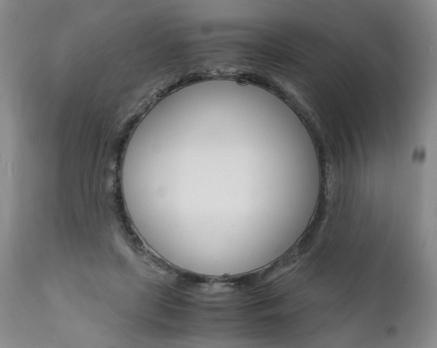 X0000111010451200906191211