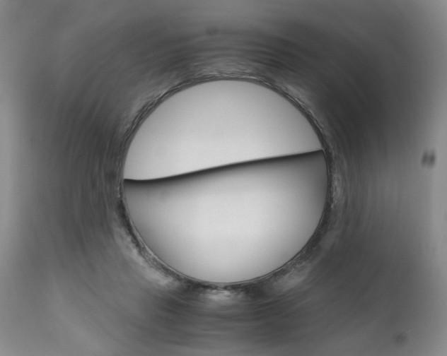X0000111010453200906191211