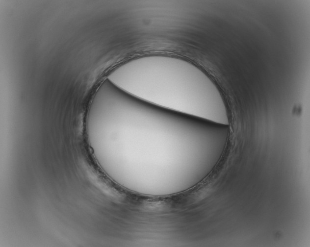 X0000111010454200906191211