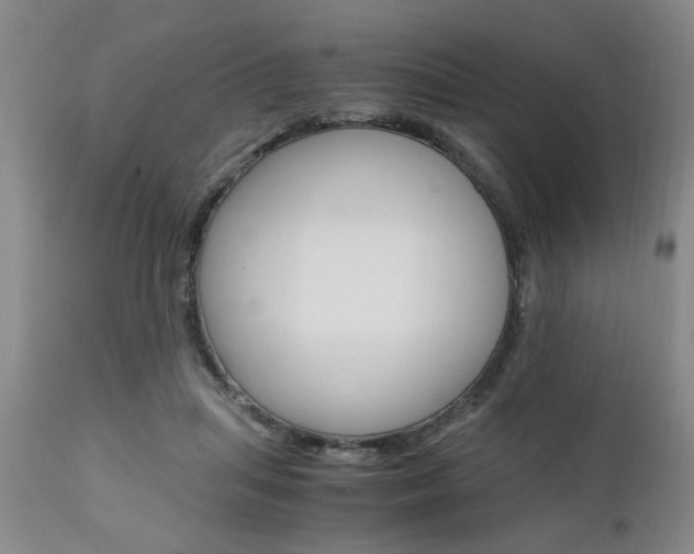 X0000111010455200906191211