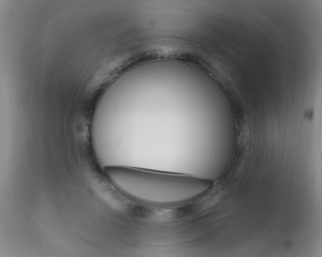 X0000111010456200906191211
