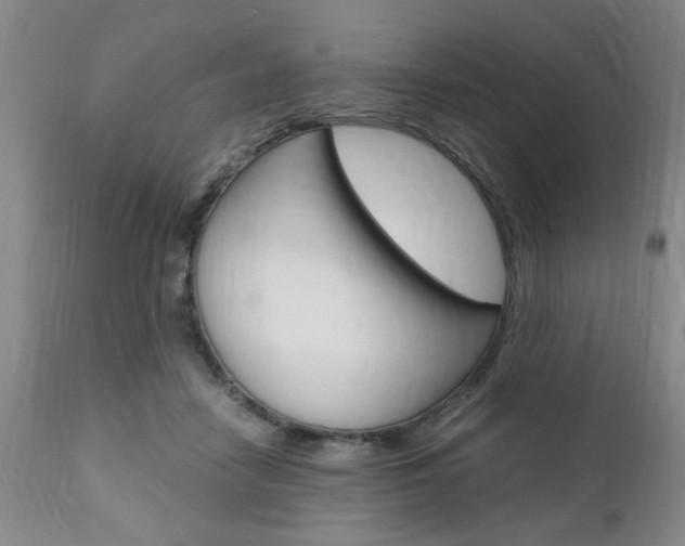 X0000111010458200906191211