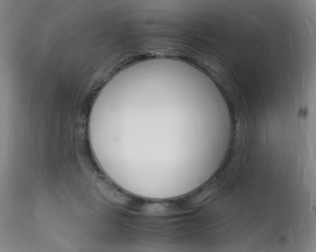 X0000111010461200906191211