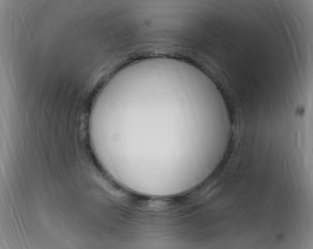 X0000111010462200906191211