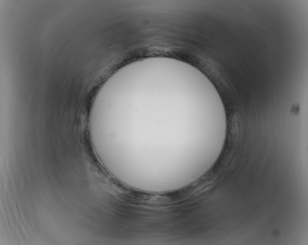 X0000111010463200906191211