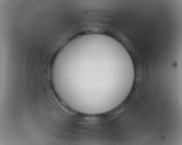 X0000111010465200906191211