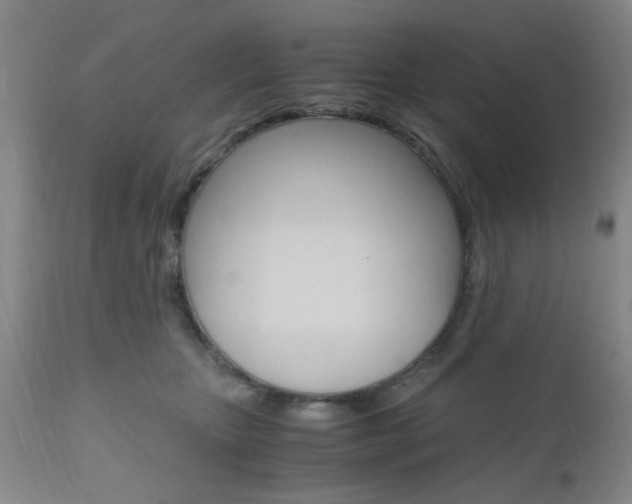 X0000111010467200906191211