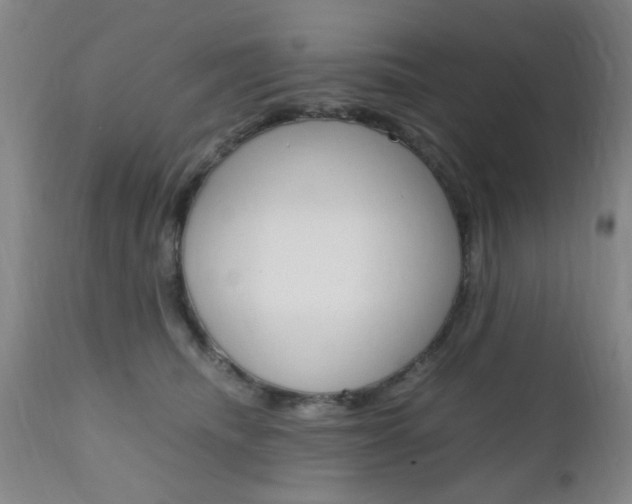 X0000111010468200906191211