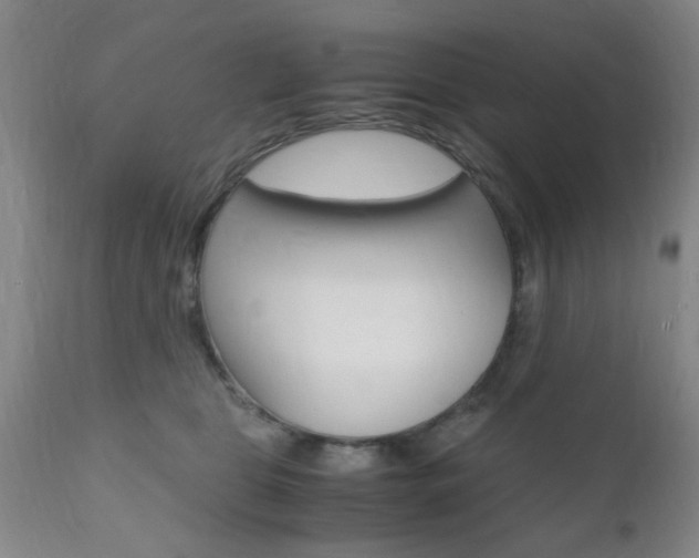 X0000111010469200906191211