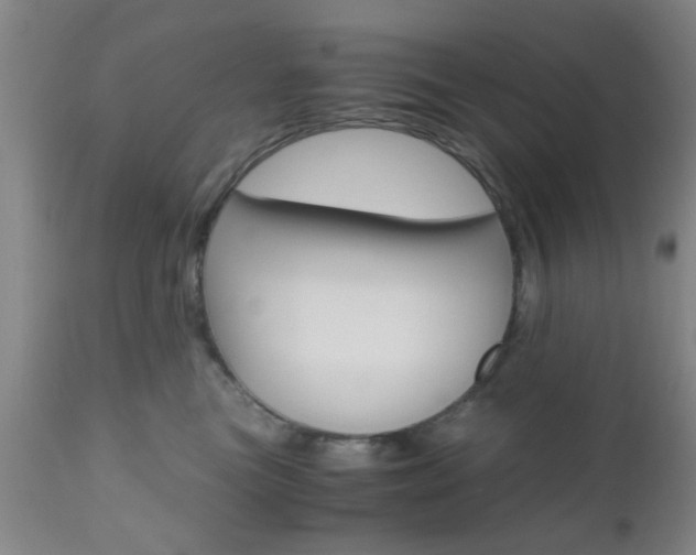 X0000111010473200906191211