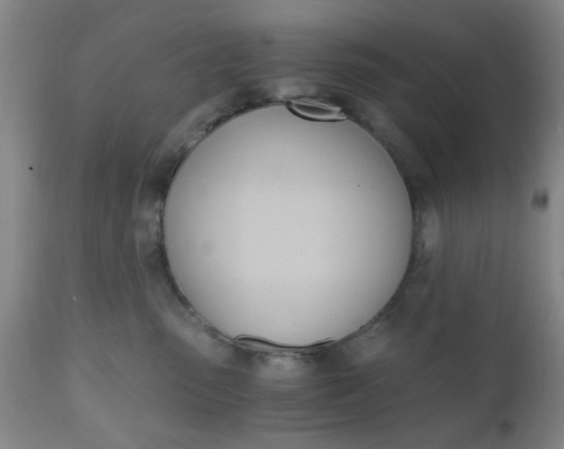 X0000111010475200906191211
