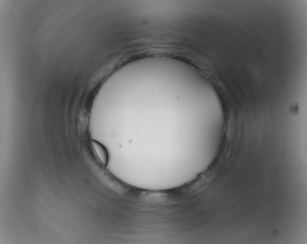 X0000111010476200906191211
