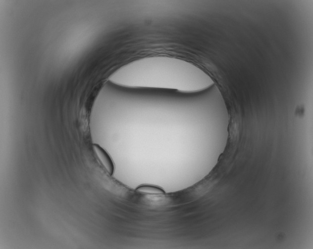 X0000111010477200906191211
