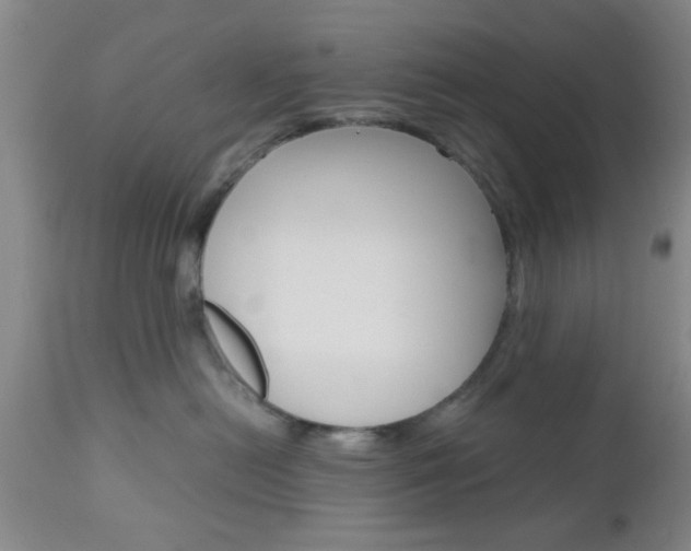 X0000111010478200906191211