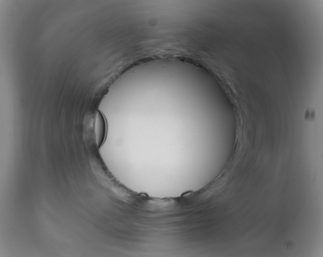 X0000111010480200906191211