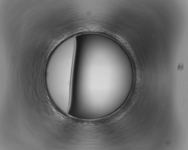 X0000111010481200906191211