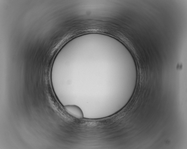 X0000111010482200906191211