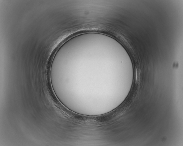 X0000111010483200906191211