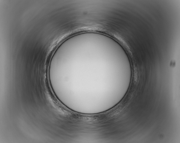 X0000111010486200906191211