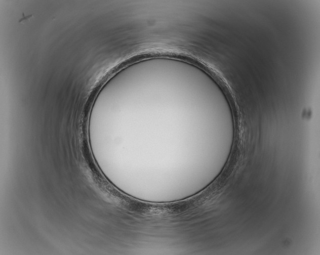 X0000111010487200906191211