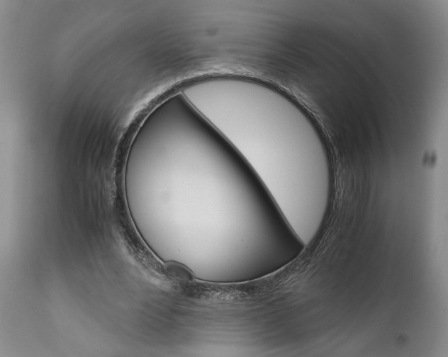 X0000111010488200906191211