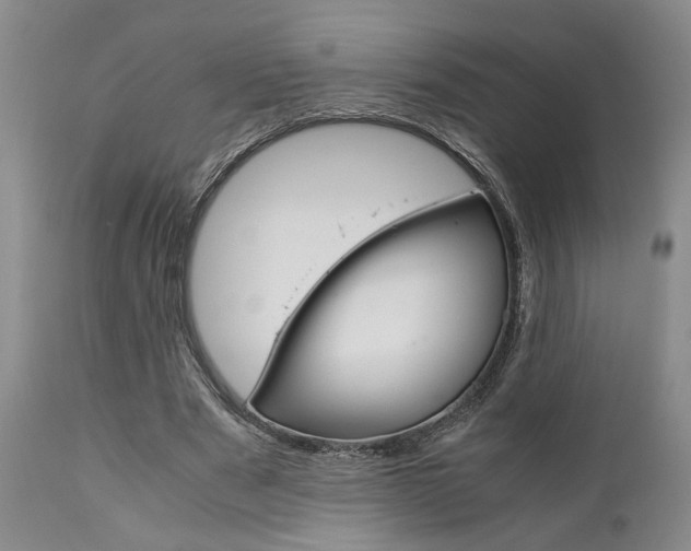 X0000111010489200906191211
