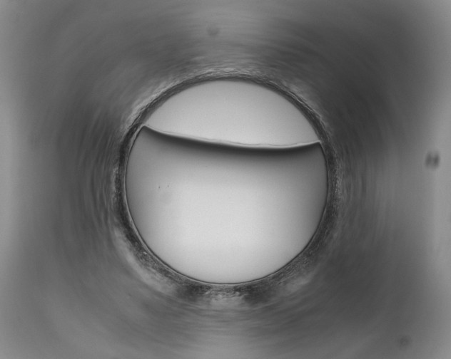 X0000111010491200906191211