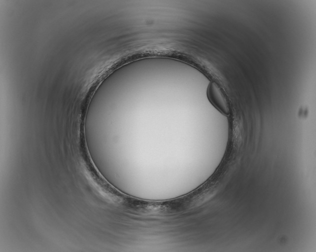 X0000111010493200906191211