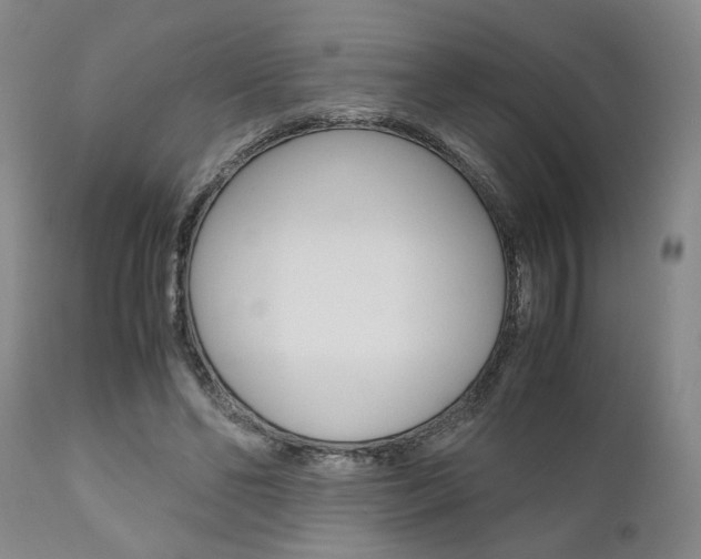 X0000111010494200906191211