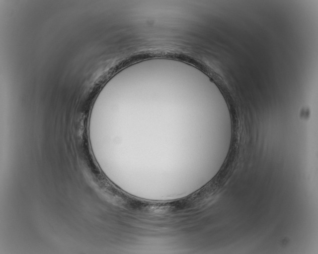 X0000111010495200906191211