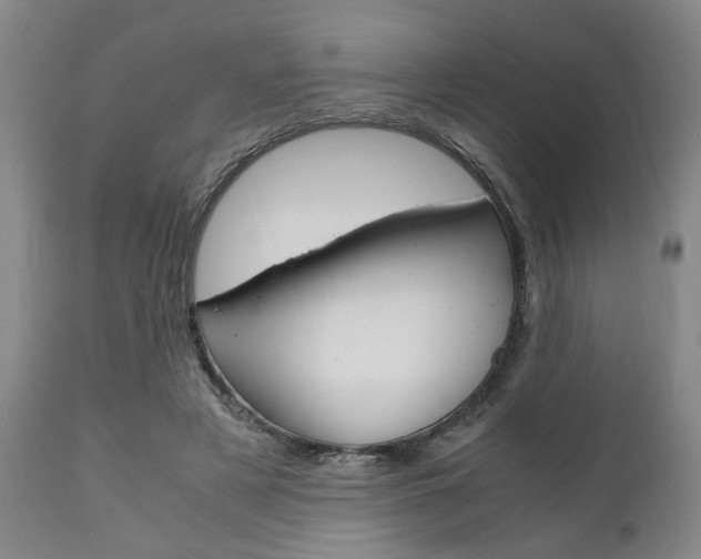 X0000111010497200906191210