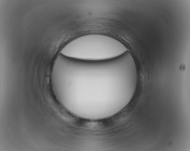 X0000111010499200906191210