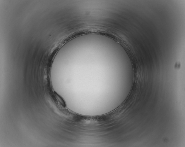 X0000111010500200906191210