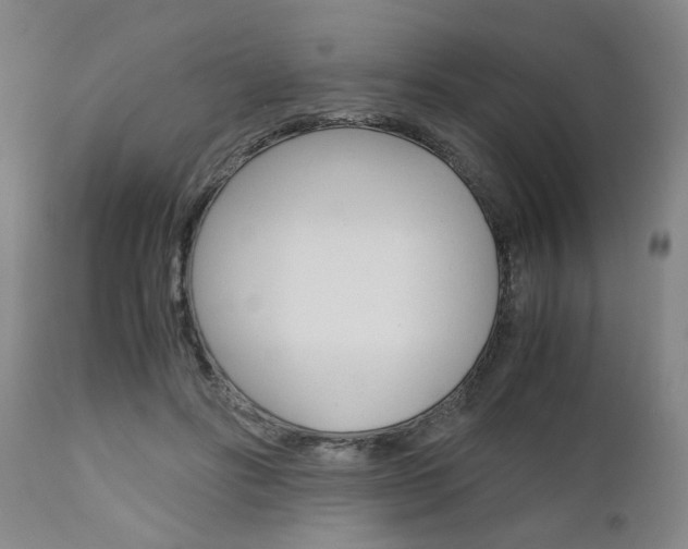 X0000111010502200906191210