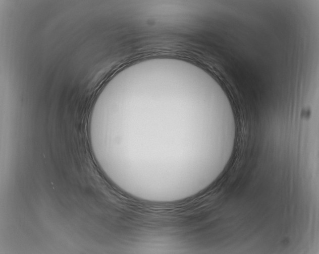 X0000111010505200906191210