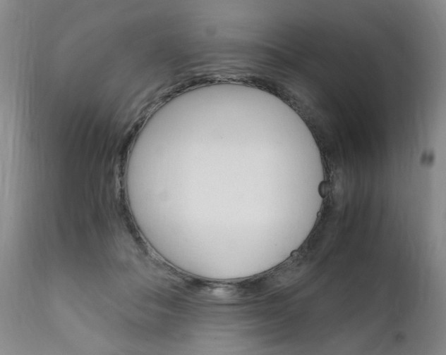 X0000111010506200906191210